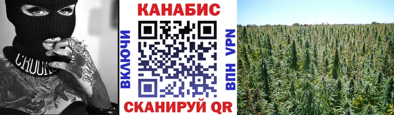 наркота  Чита  Канабис семена 